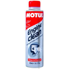 816115/ENGINE CLEAN AUTO (300ML)/102174=104975