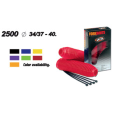 PG PA250037GO02