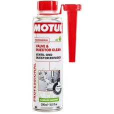 102515/VALVE AND INJECTOR CLEAN (300ML)/108123 102515/VALVE AND INJECTOR CLEAN (300ML)/108123
