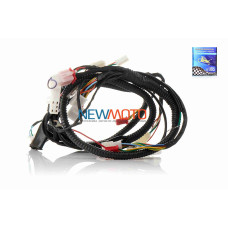 Проведення GY6 150 STORM QT9 "LIPAI"
