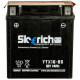 Аккумулятор 14Ah 12V Skyrich YTX16-BS SLA 150x87x161