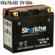 Аккумулятор 10Ah 12V Skyrich YT12В-ВS SLA 150x70x130 Аккумулятор 10Ah 12V Skyrich YT12В-ВS SLA 150x70x130