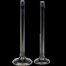 JS150-3 R6 Клапана ГРМ (впуск- L=96 D=29; выпуск- L=95 D=24) Jianshe JS157FMJ - F25-110304-0 / F25-110303-0
