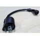 JS150-3 R6 Puma Катушка зажигания Jianshe - F25-D10000-0