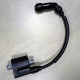 JS150-3 R6 Puma Катушка зажигания Jianshe - F25-D10000-0